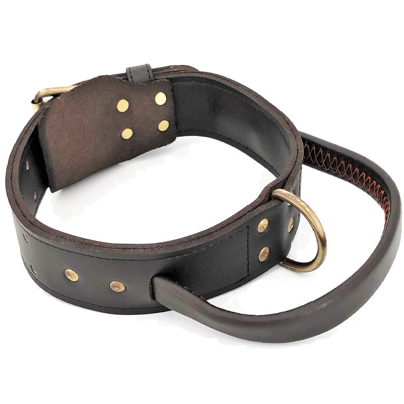 FDC Genuine Real Leather Dog Collar with Handle 1.6" Width Heavy Duty Medium and Large Pet (XL: Neck 16" - 20") - Image 1